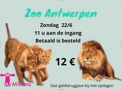 Zoo Antwerpen  22 juni