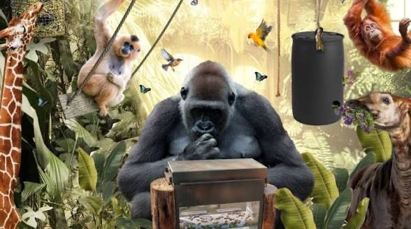 Zoo Antwerpen zaterdag 28/3 