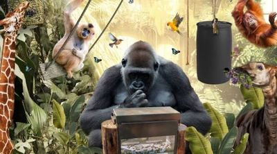 Zoo Antwerpen zaterdag 28/3 