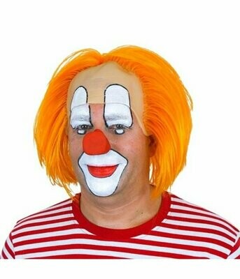 Pruik clown Bassie
