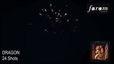 Vuurwerk Dragon