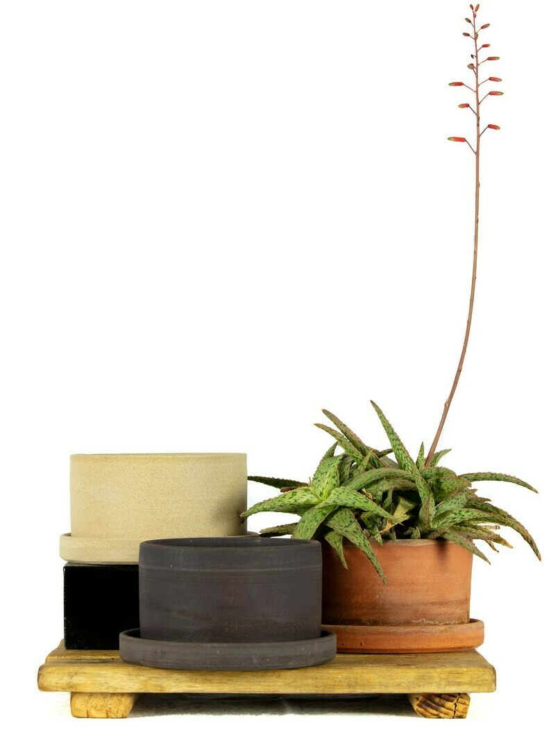 Planter + Tray - XLg