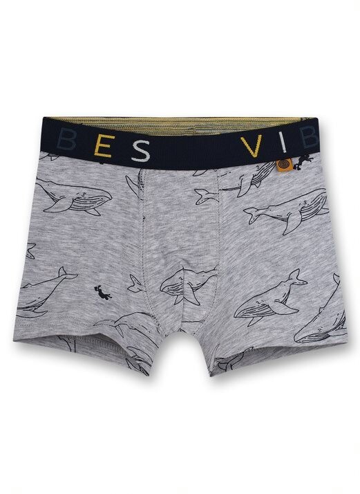 Sanetta Unterhose  Grey Whale *AKTION*