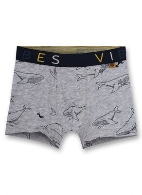 Sanetta Unterhose  Grey Whale *AKTION*