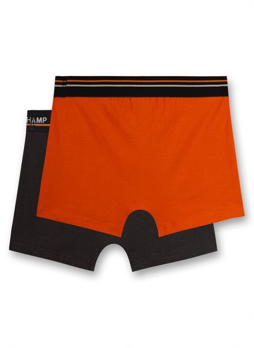 Sanetta Boxershorts Doppelpack Basket