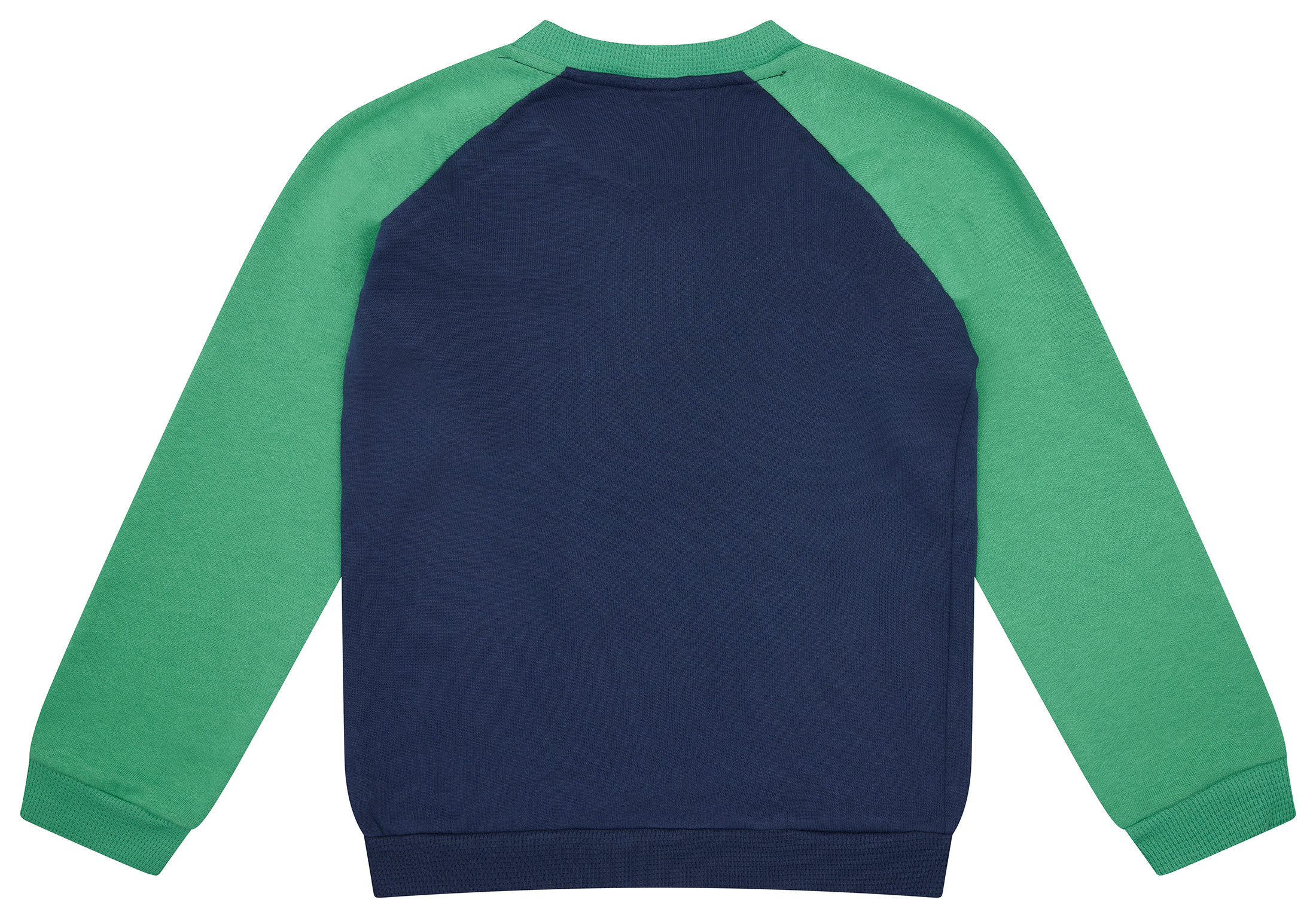 Loud + Proud Sweatshirt Raglan Ultramarin/Plant