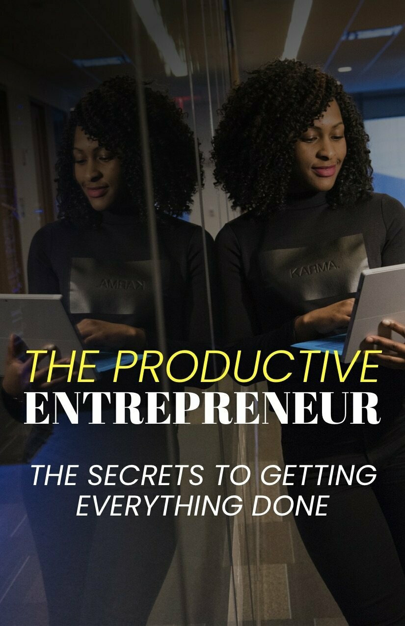 The Productive Entrepreneur - mini eBook