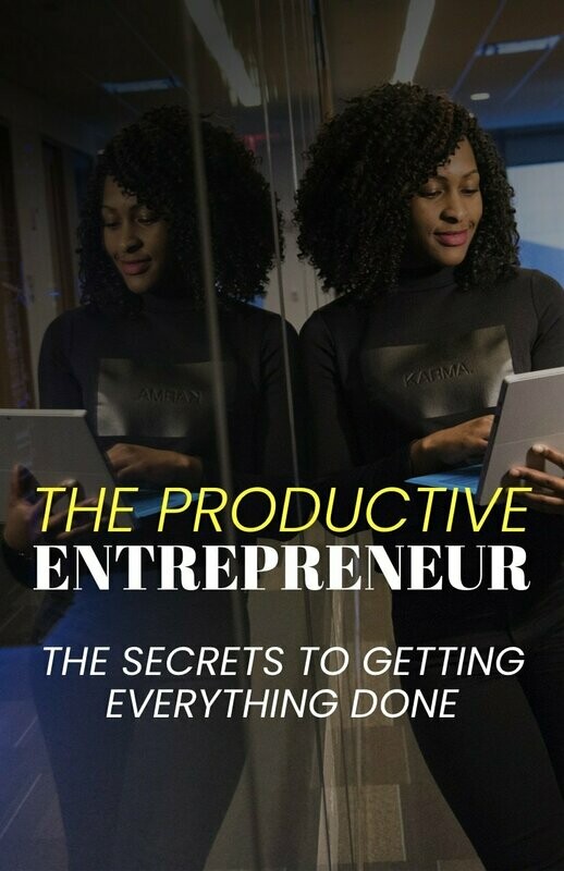 The Productive Entrepreneur - mini eBook