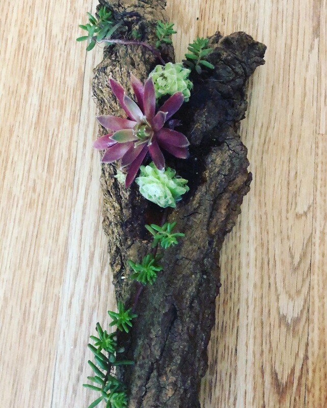Wooden Hand Made Craft Design Flower Stand /unique/shape of hard/❤️&amp;succulents