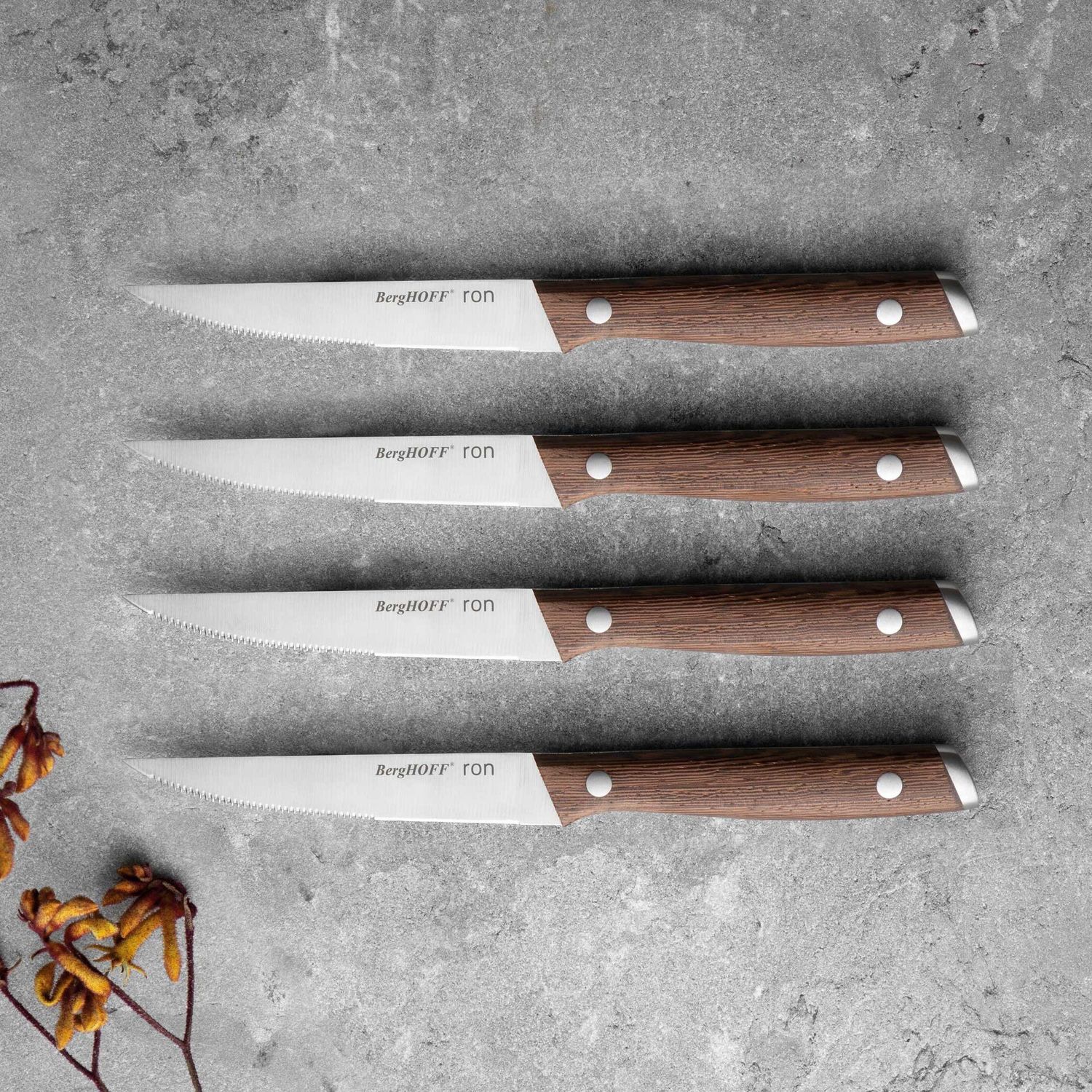 Poggenpohl 4-pc Steak Knife Set