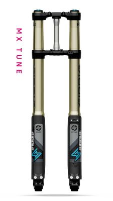 SIRRIS Suspension
