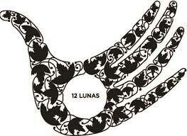 12 LUNAS TINTO 2020