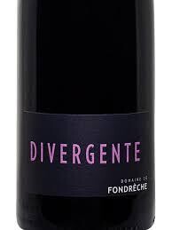 DIVERGENTE 2020