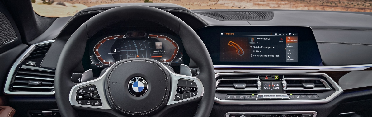 Camera interface for BMW MGU (10,2 " & 12,3 ")