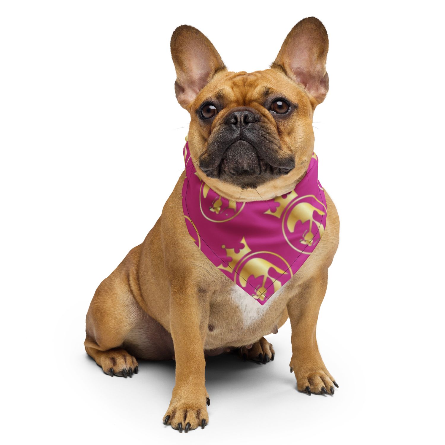 JdLino Brand All-over print bandana P/G