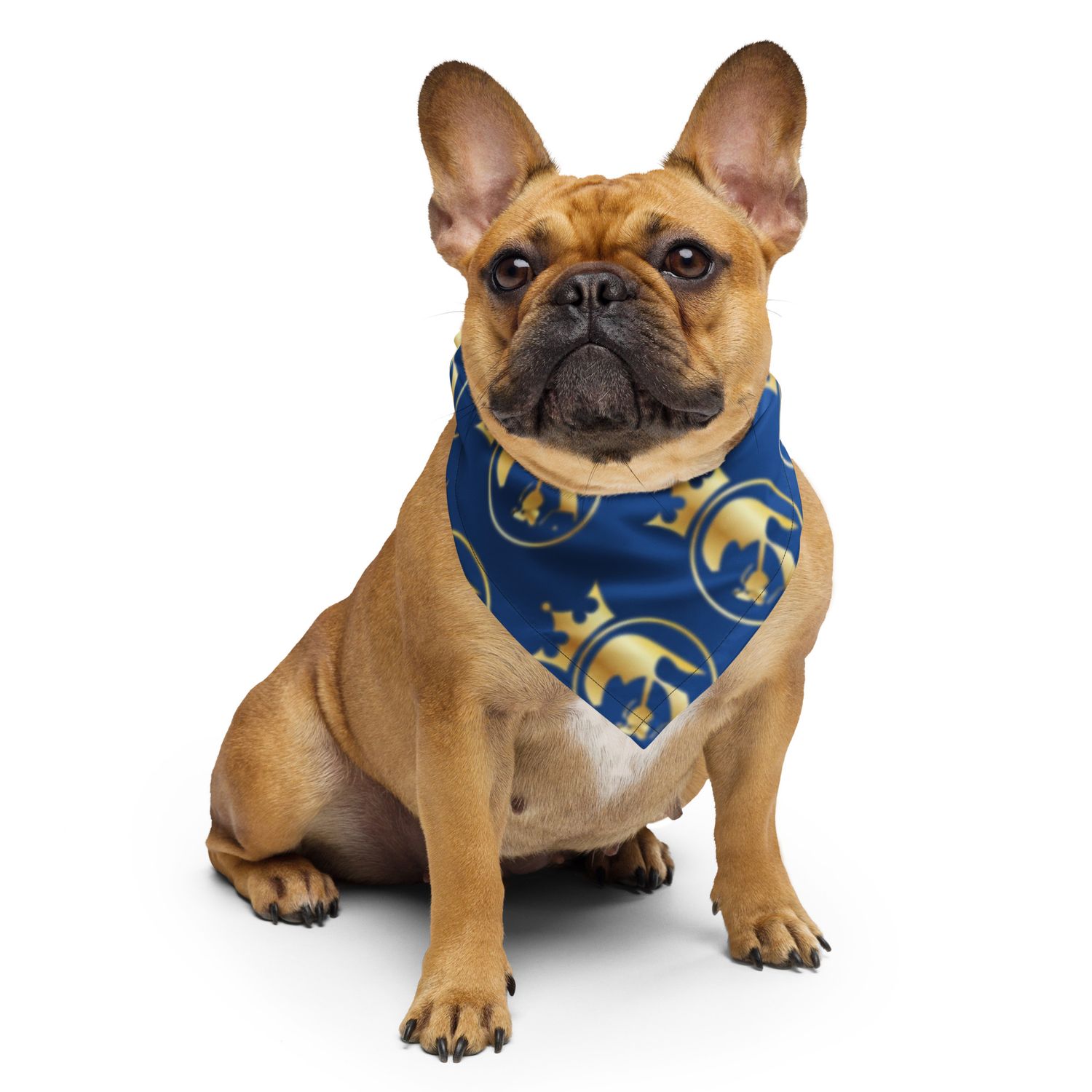 JdLino Brand All-over print bandana B/G