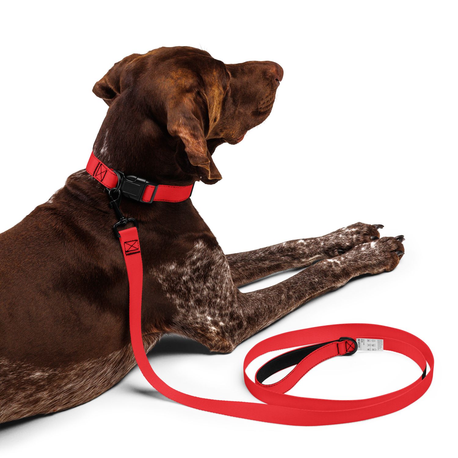 JdLino Brand R/B Pet collar &amp; leash