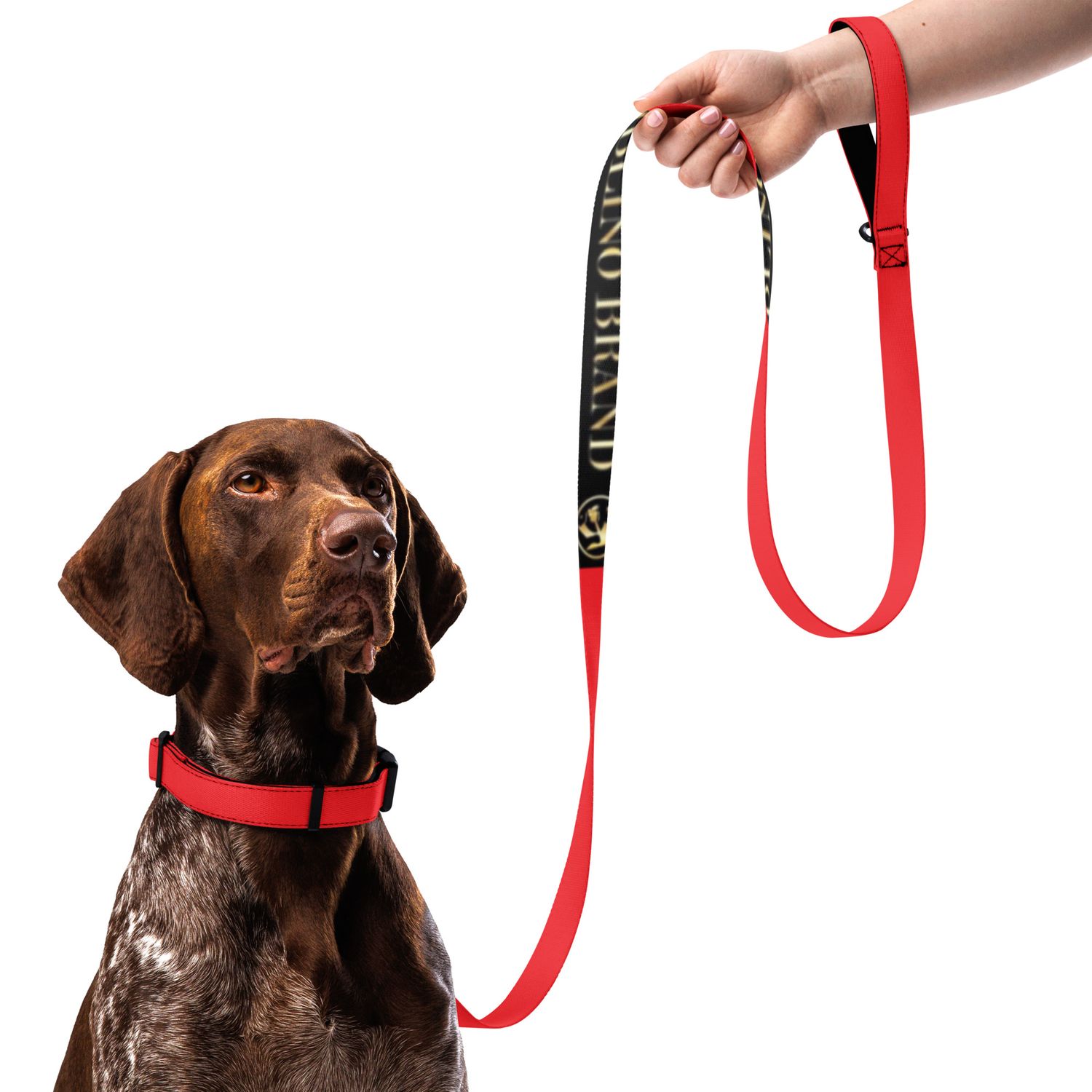 JdLino Brand R/B Pet collar &amp; leash