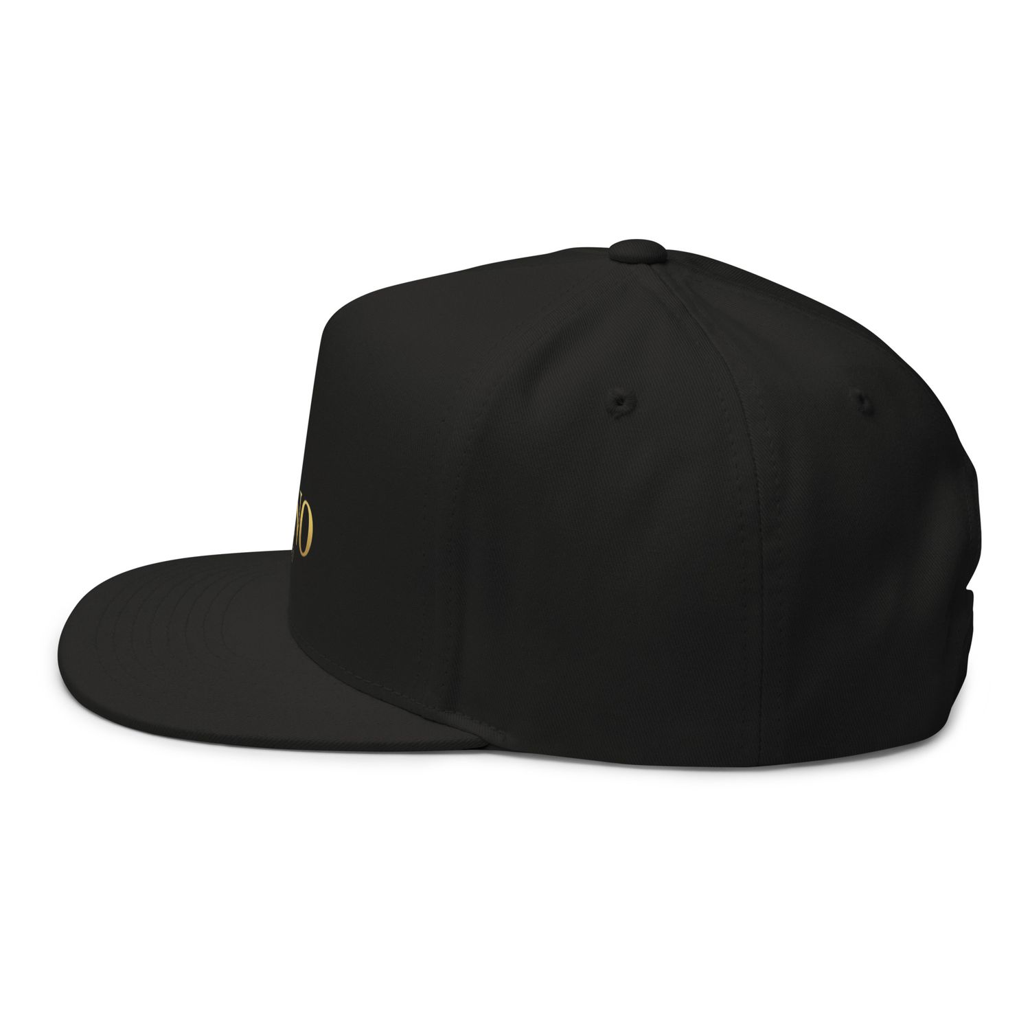JDLINO BRAND B/G Unisex Flat Bill Cap
