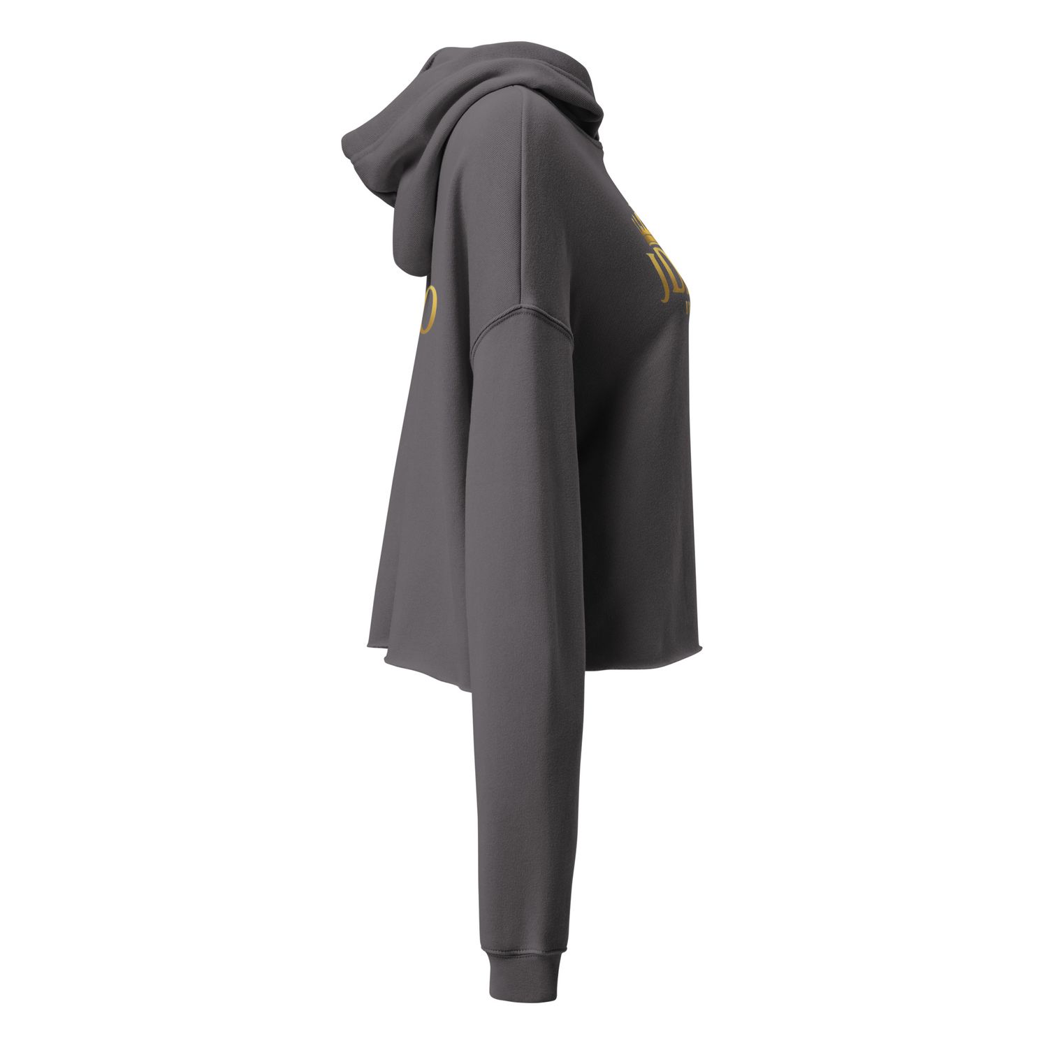 JDLINO BRAND G/G Crop Hoodie