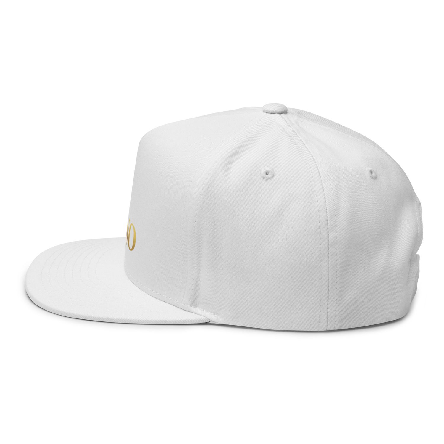JDLINO BRAND W/G Flat Bill Cap