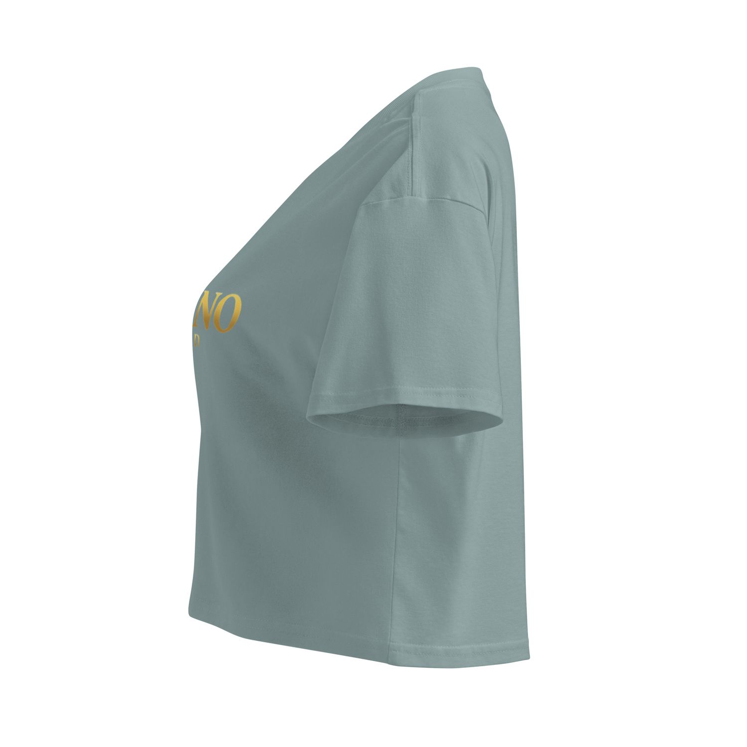 JDLINO BRAND T/G Women’s crop top