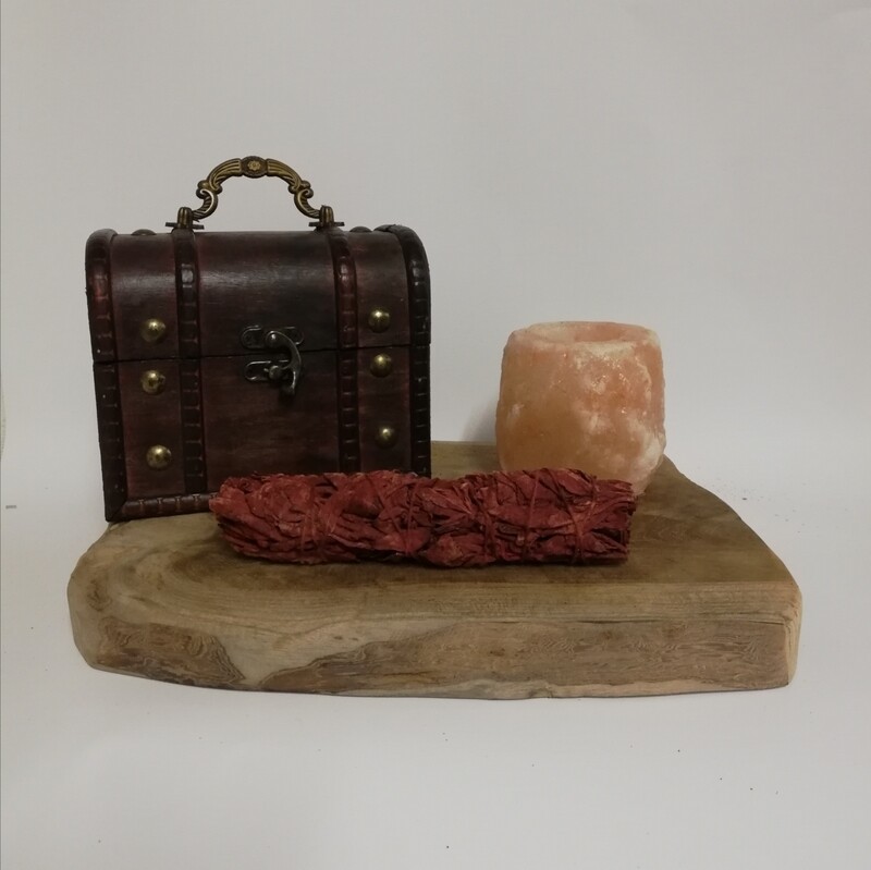 Dragonsblood sage 15 cm