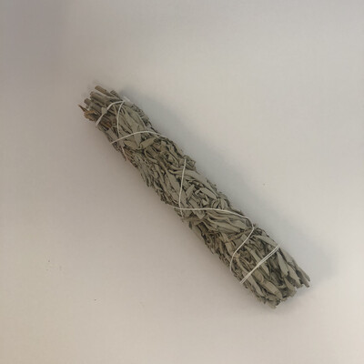 White sage 22 cm