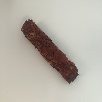 Dragonsblood sage 15 cm