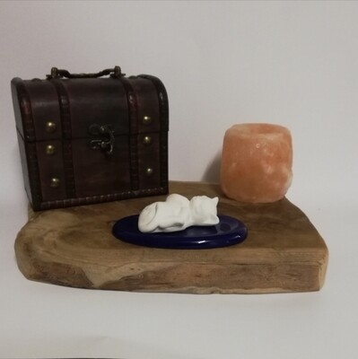Poes spinnend Aroma steen