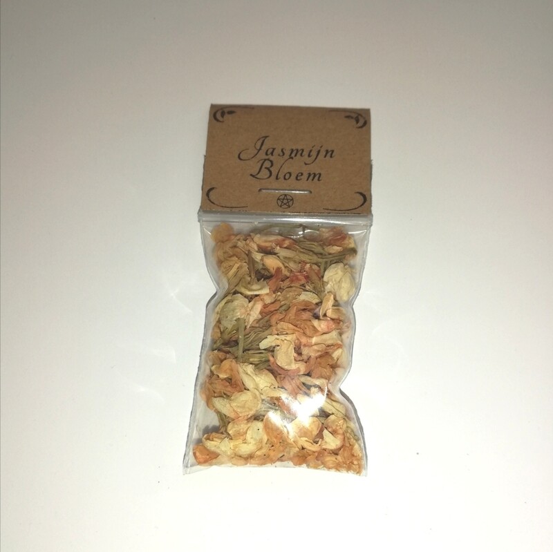 Jasmijn bloem