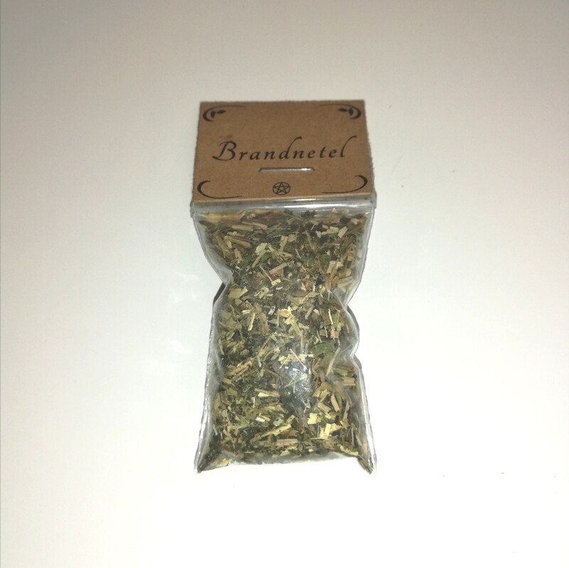Brandnetel