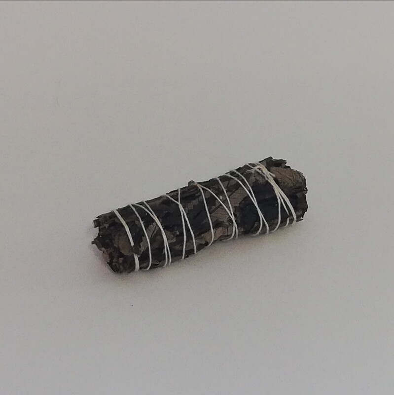 Black sage 10cm