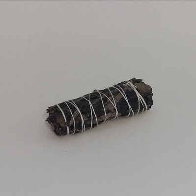 Black sage 10cm
