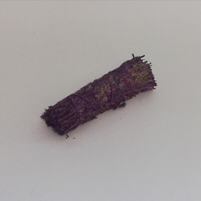Lavendel sage  10 cm