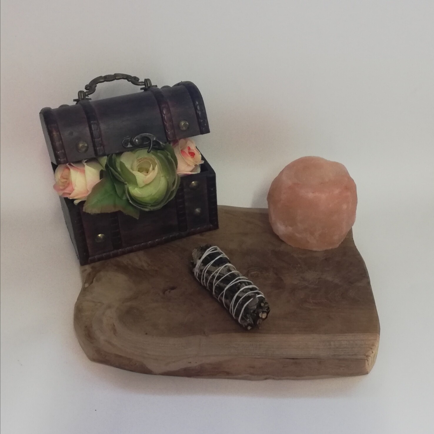 Black sage 10cm