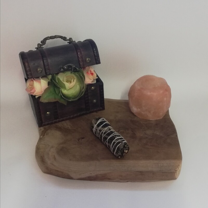 Black sage 10cm