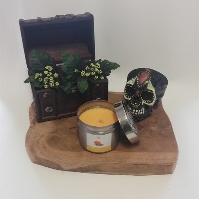 Green tree Citrus Cedar geurkaars in blik