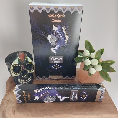 Shaman vision native spirits