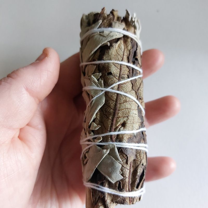 Witte en zwarte salie gecombineerd