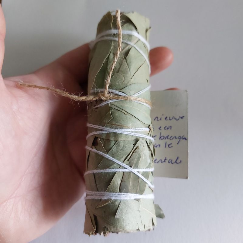 Eucalyptus salie