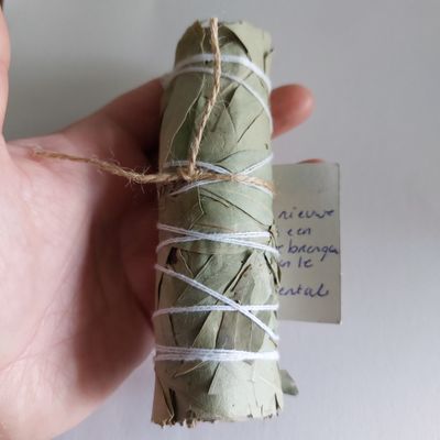 Eucalyptus salie