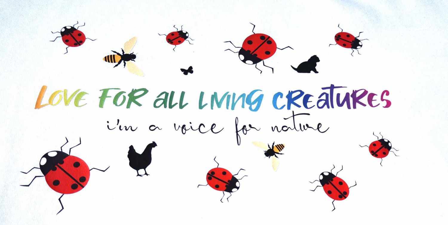 LadyBug