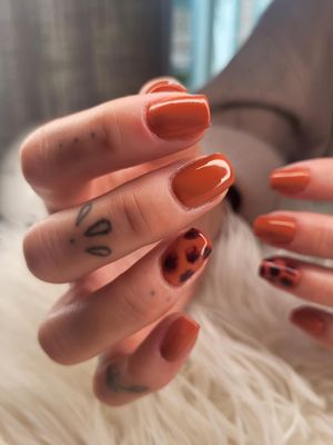 Masterclass Gelnagels: beginnende nagelstylisten (materiaal inbegrepen) (prive les)