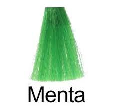 NIRVEL NUTRE COLOR MENTA