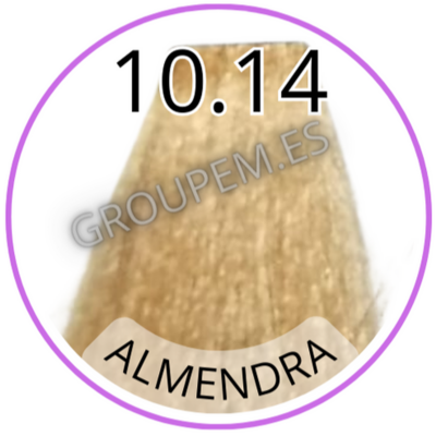 TINTE ALMENDRA DE PELO PROFESIONAL FANOLA 10.14 100ml