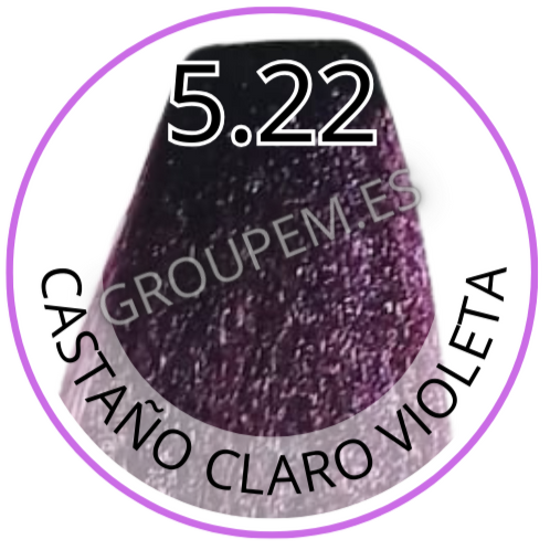 TINTE CASTAÑO CLARO VIOLETA DE PELO PROFESIONAL FANOLA 5.22 100ml