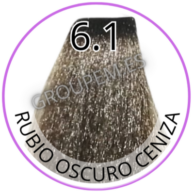 TINTE RUBIO OSCURO CENIZA DE PELO PROFESIONAL FANOLA 6.1 100ml