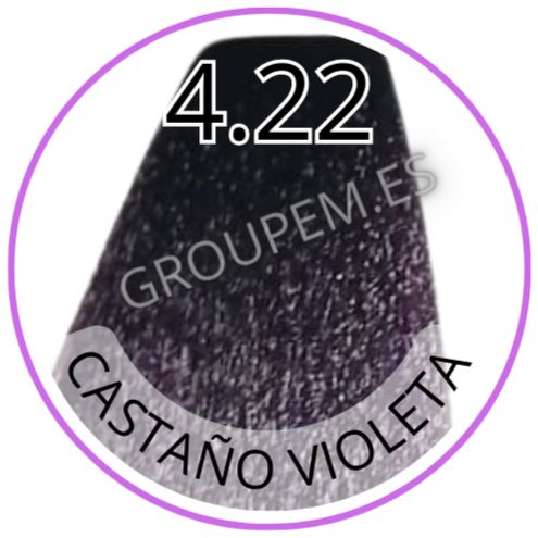 TINTE CASTAÑO VIOLETA DE PELO PROFESIONAL FANOLA 4.22 100ml
