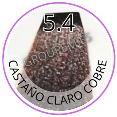 TINTE CASTAÑO CLARO COBRE DE PELO PROFESIONAL FANOLA 5.4 100ml